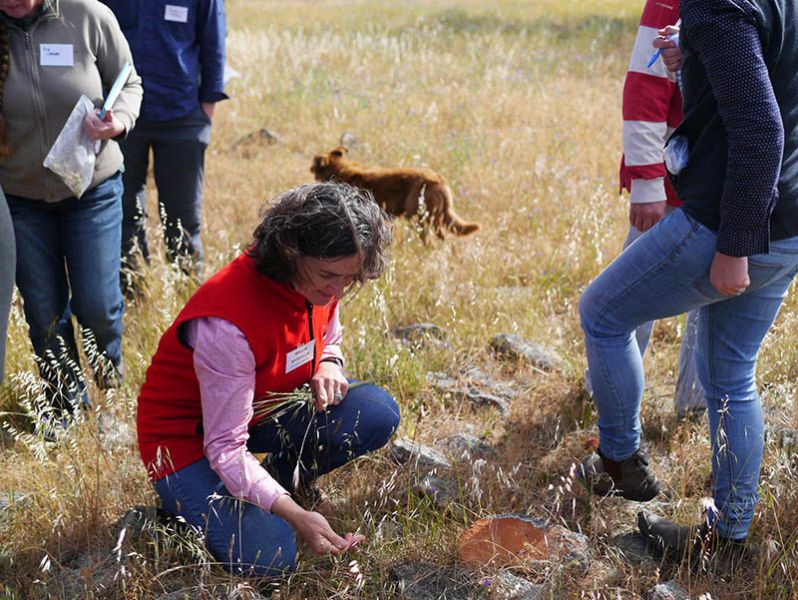 Millie Nicholls examines a native plant on a BIGG field day at Keyneton