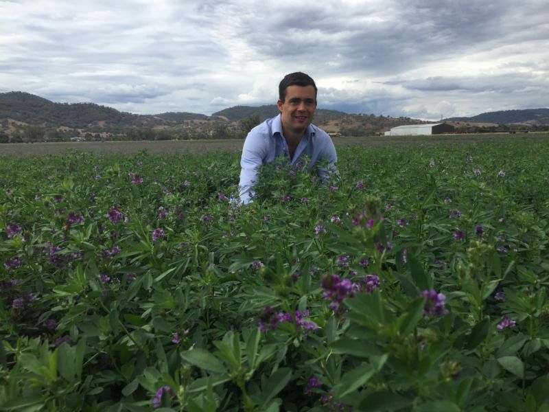 Lucerne trial results highlighted at Barossa conference