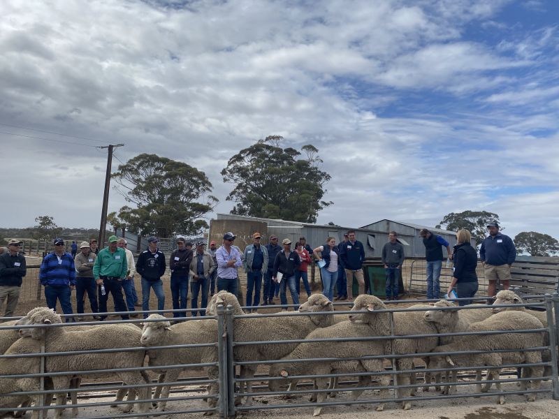 All participants of the containment ewe bus tour got hand's on conditions scoring ewes