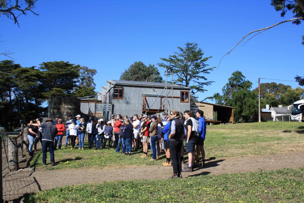 Michael Evans demonstrating to students, the importance of sheep yard design and livestock flow systems to the shearing shed for low stress stock handling and labour use efficiency and comfort.