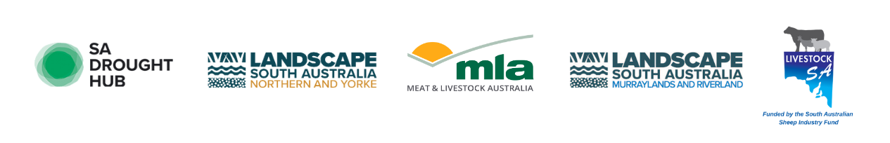 BIGG Conference 26 Sponsors - no grass