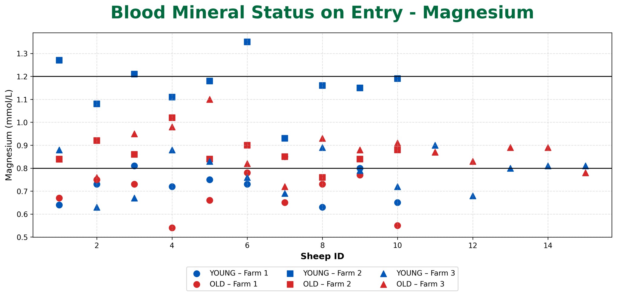 Magnesium 1